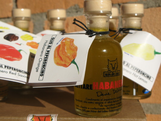 Nettare d’Habanero - i nostri olii piccanti