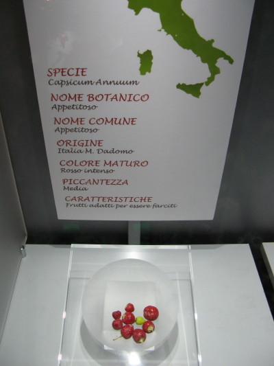Uno dei cartellini a Rieti con la provenienza “M Dadomo”